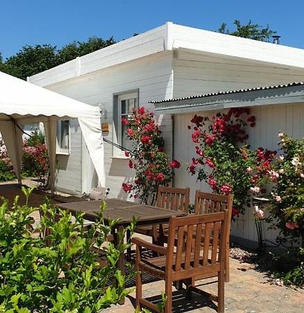 Ferienbungalow Haus am Teich Ostseebad Boltenhagen Exterior foto
