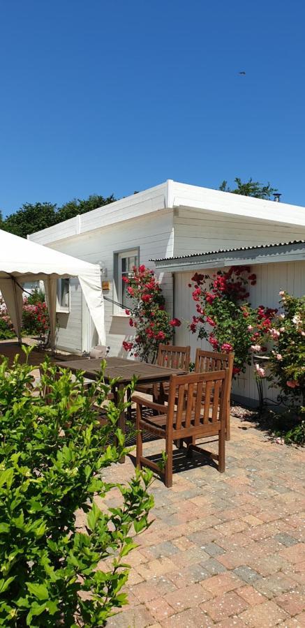 Ferienbungalow Haus am Teich Ostseebad Boltenhagen Exterior foto